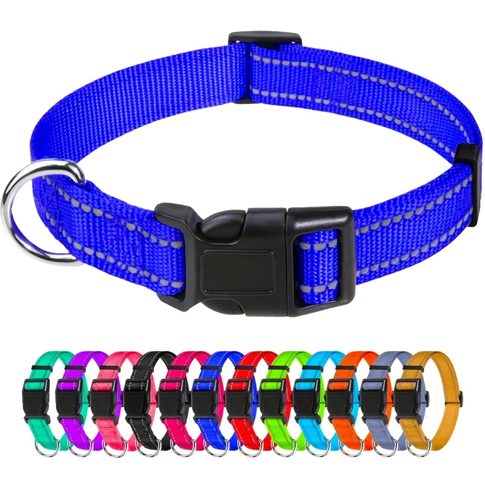 TagME Reflective Nylon Dog Collar Royal Blue, 5/8" Width-Sm
